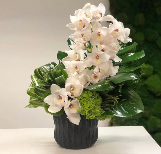Orchid Noir