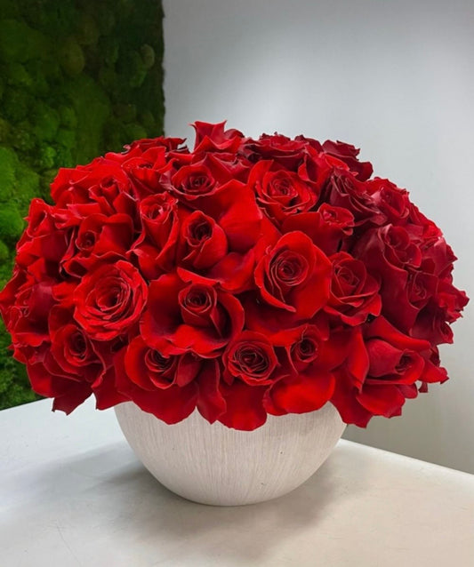 Red Velvet Roses