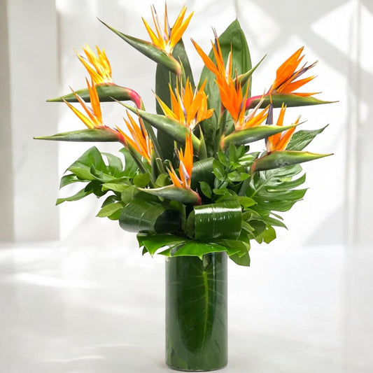 Tropical Luxe